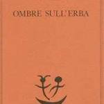 Ombre sull'erba