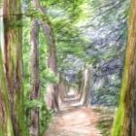 Alberi maestri del Friuli Venezia Giulia 