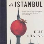La bastarda di Instanbul