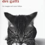  La vita emotiva dei gatti 