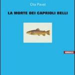  La morte dei caprioli belli 