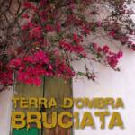 Terra d ombra bruciata