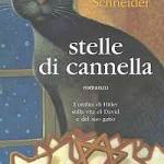 Stelle di cannella