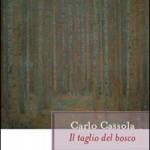 Il taglio del bosco