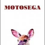 Motosega
