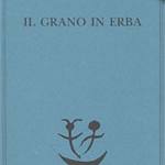 Il grano in erba