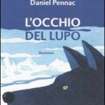 L'occhio del lupo