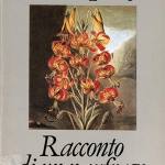 Racconto di un naufrago