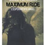 Esperimento Angel