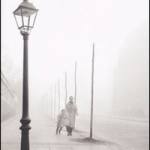 L'ombra del vento