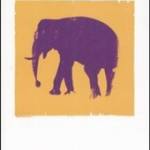 Il viaggio dell'elefante