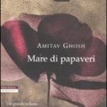 Mare di papaveri