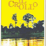 Il crollo