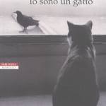 Io sono un gatto