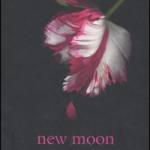 copertina  New Moon