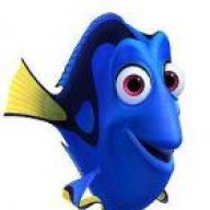 Dory