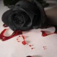 anvi